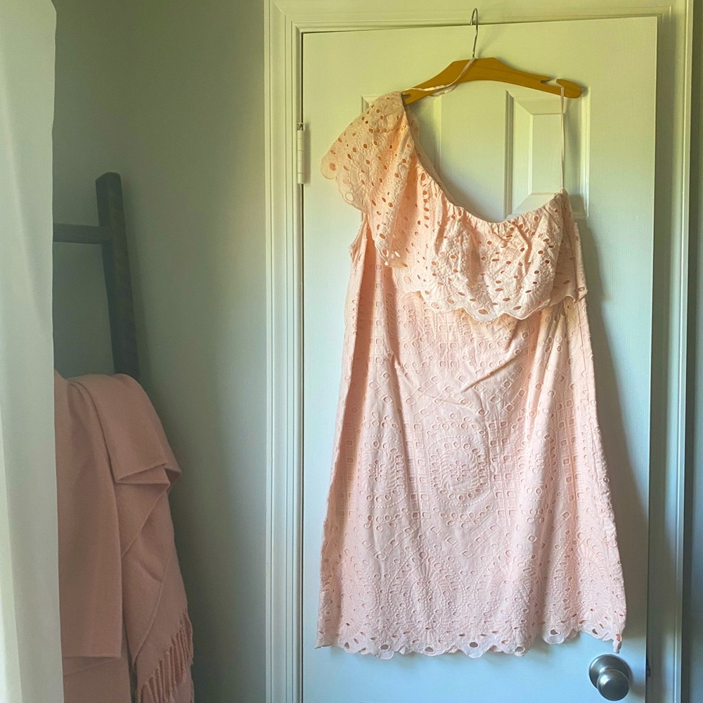 Loft peach colored one shoulder eyelet dress NWT size 14